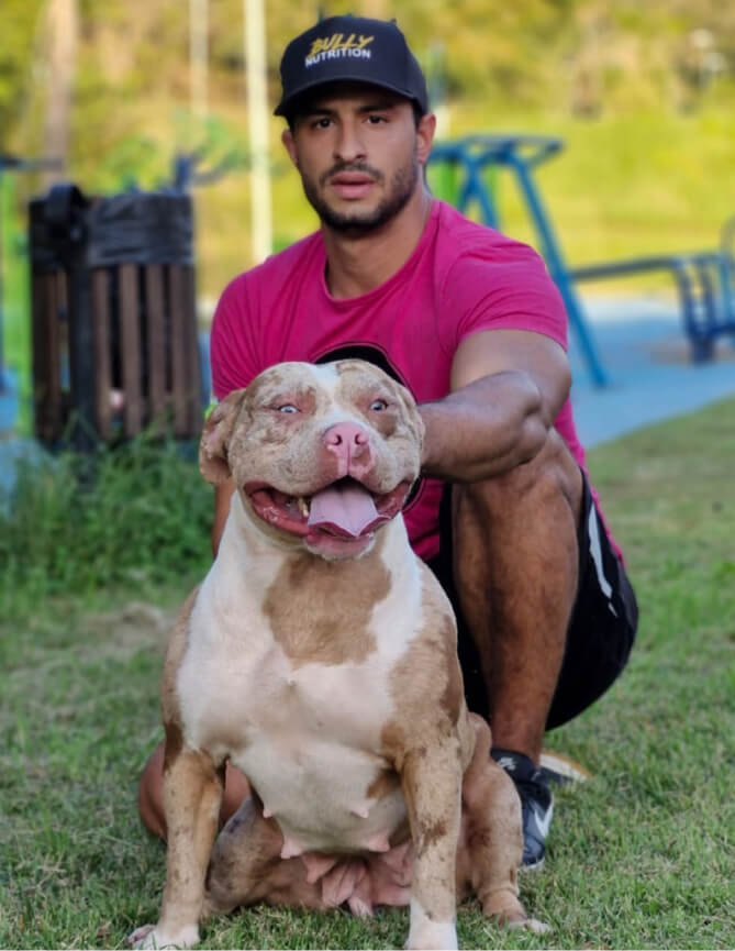 Cachorro Molotov 10