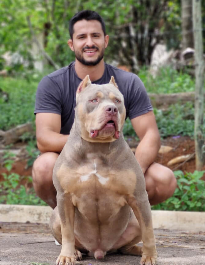 Cachorro Molotov 13