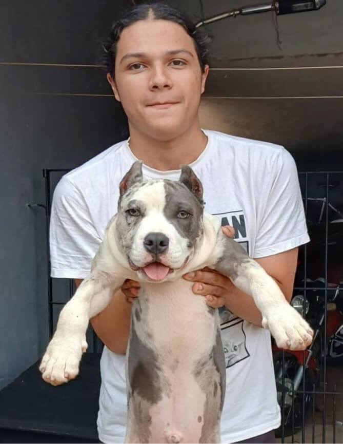 Cachorro Molotov 20
