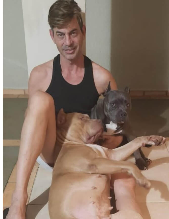 Cachorro Molotov 23