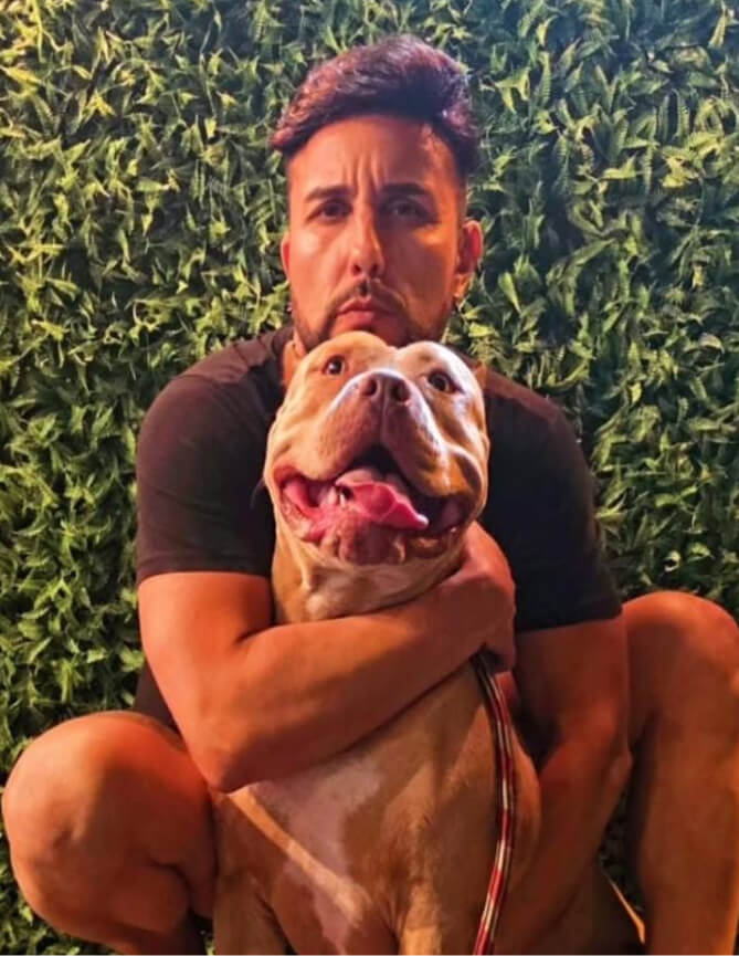 Cachorro Molotov 24