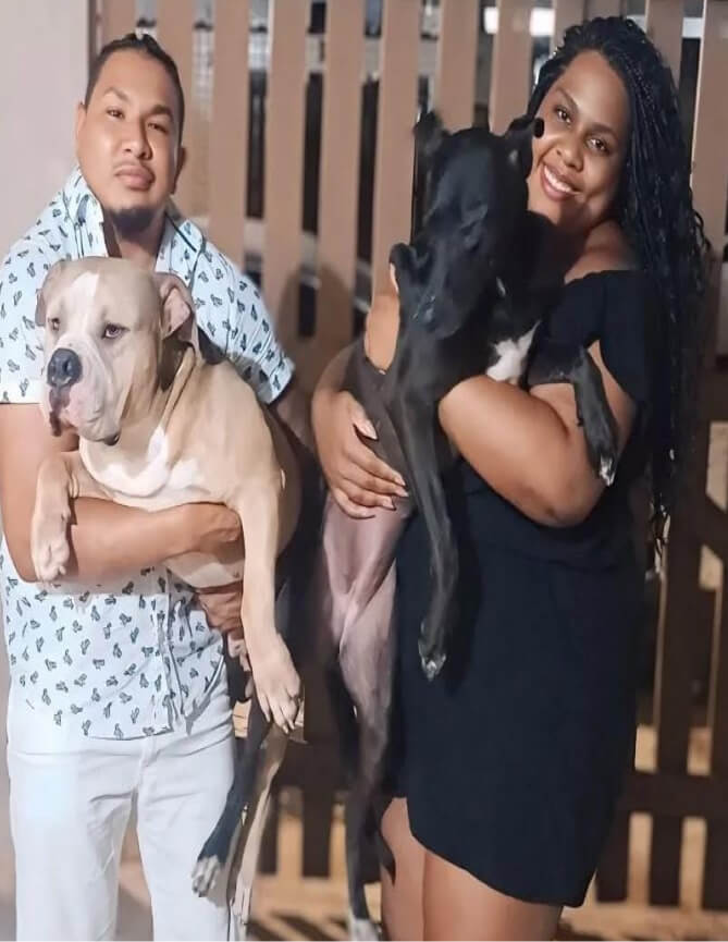 Cachorro Molotov 25