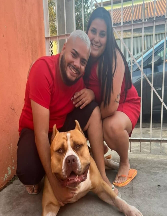 Cachorro Molotov 27