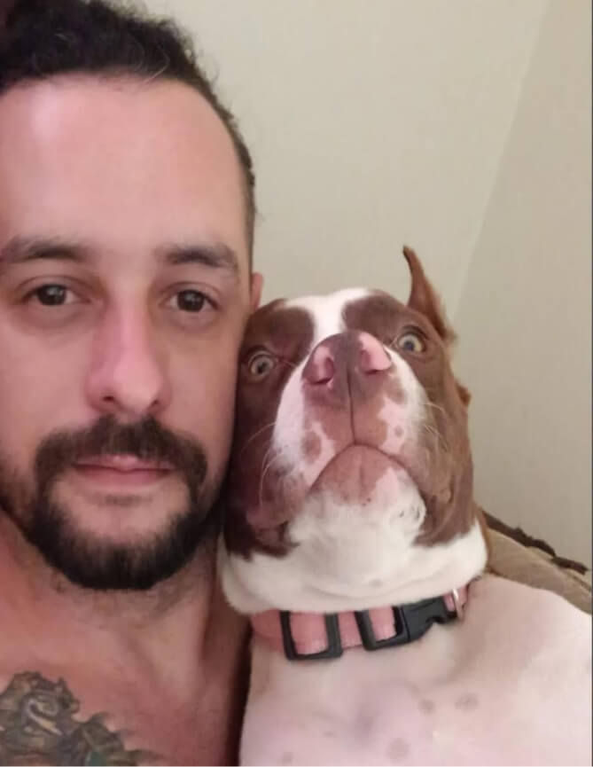 Cachorro Molotov 29
